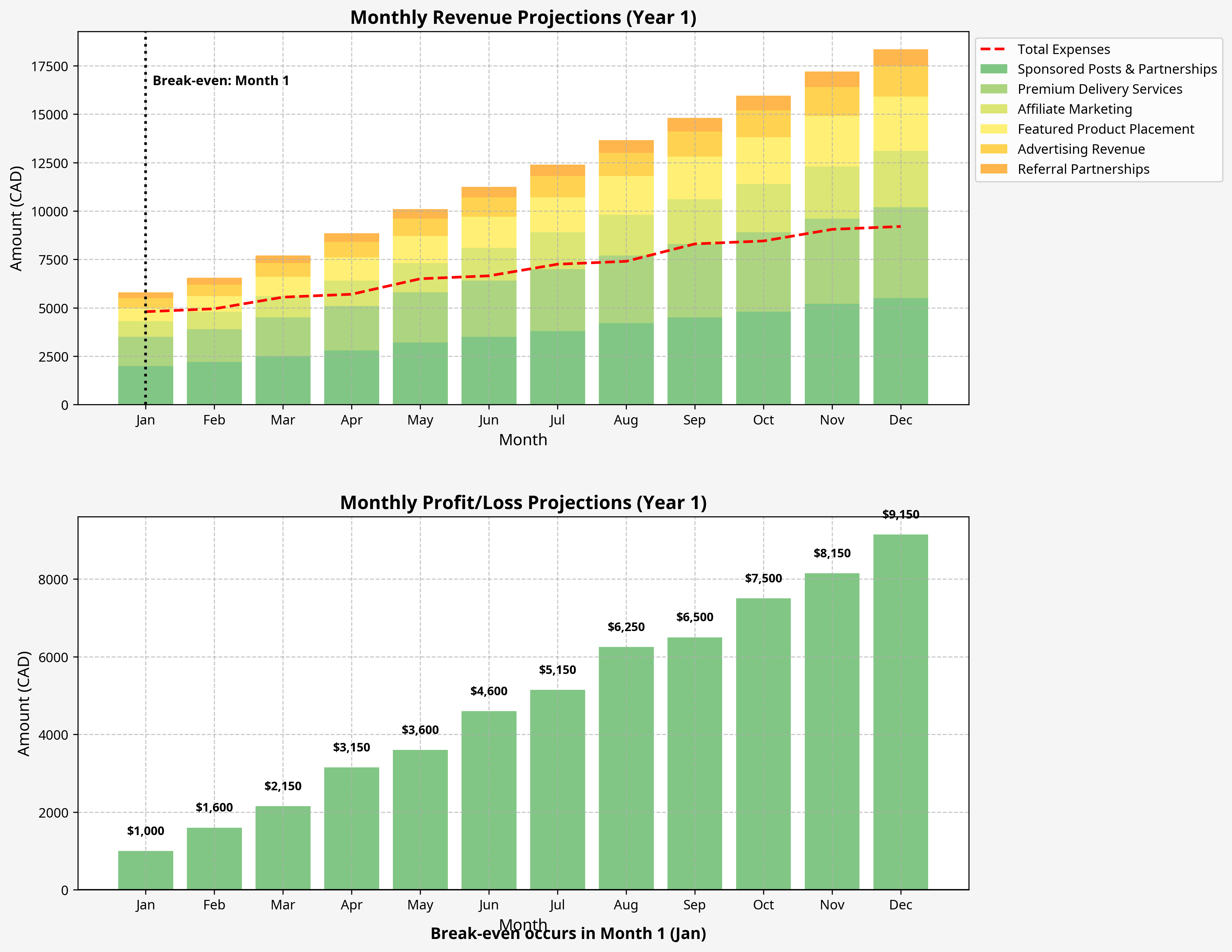 Financial Projections